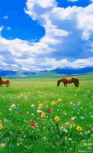 304_500竖版 竖屏gif 动态图 动图